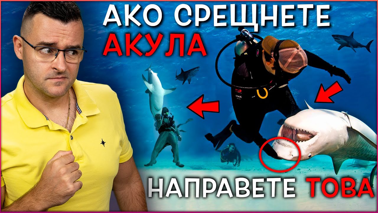 50 Невероятни Факта, които на 100% ЩЕ ИСКАТЕ да Запомните