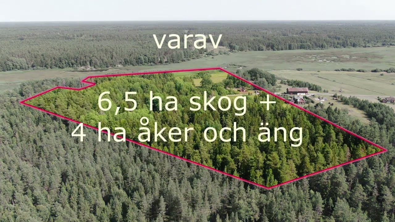 G&aring;rd till salu i Borrl&ouml;vsta - mitt i Uppland