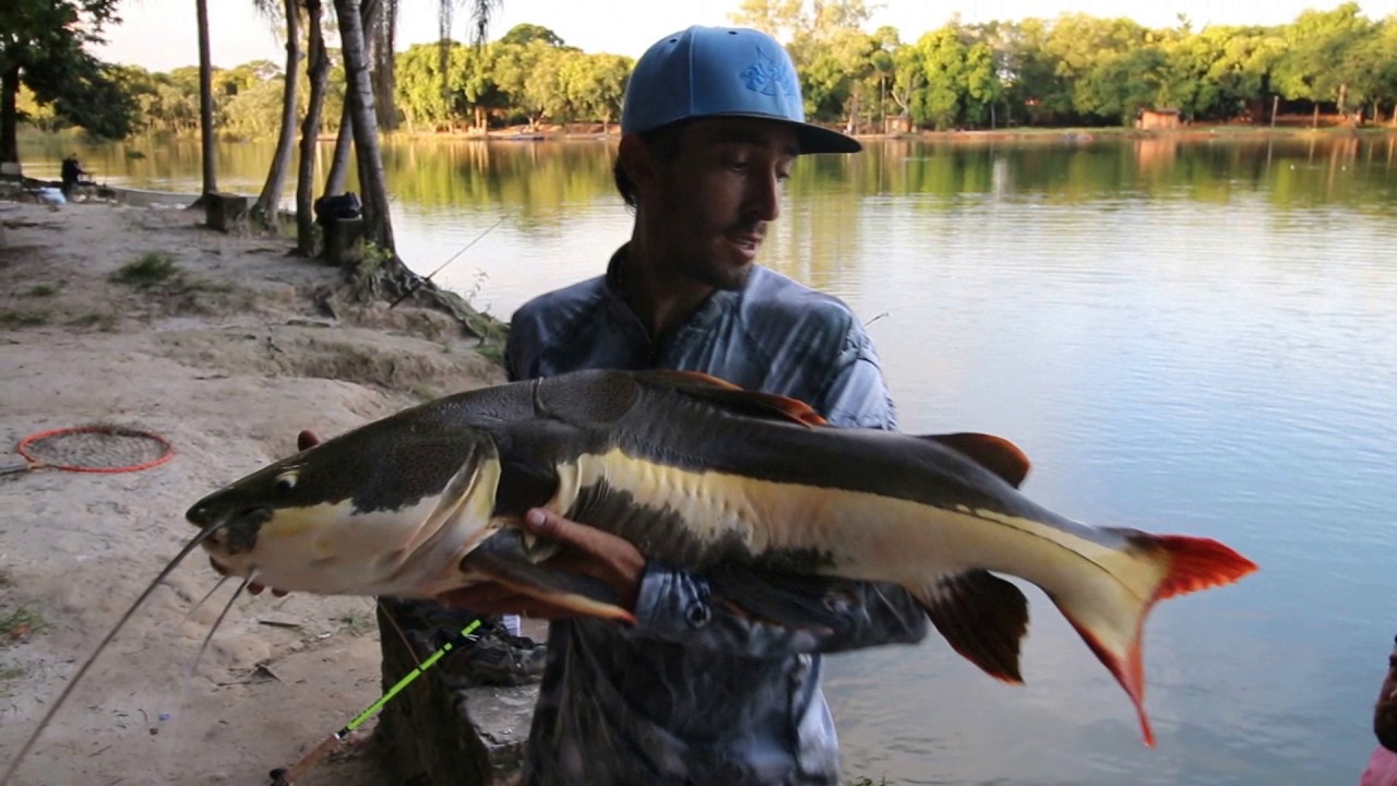 C&Oacute;RREGO DAS ANTAS - Eki-Panela ft.Amental Fishing parte  1/5
