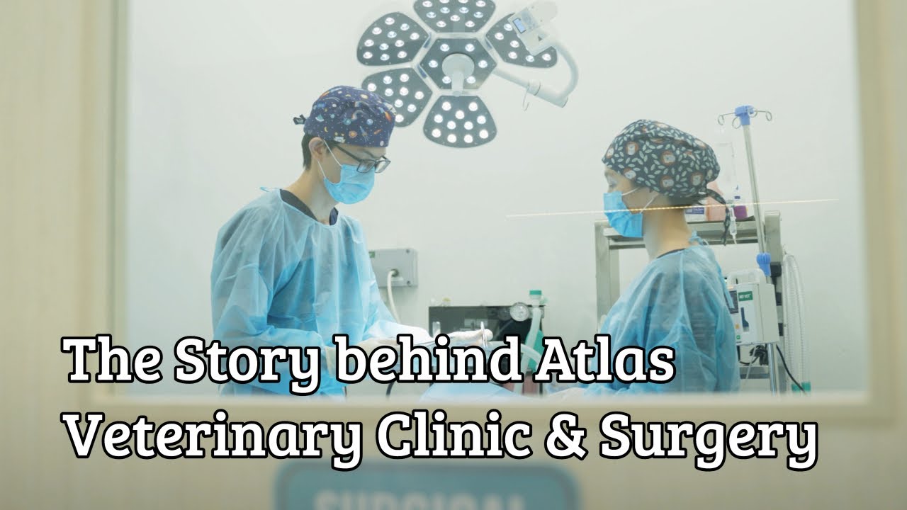 Atlas Vet Documentary Video