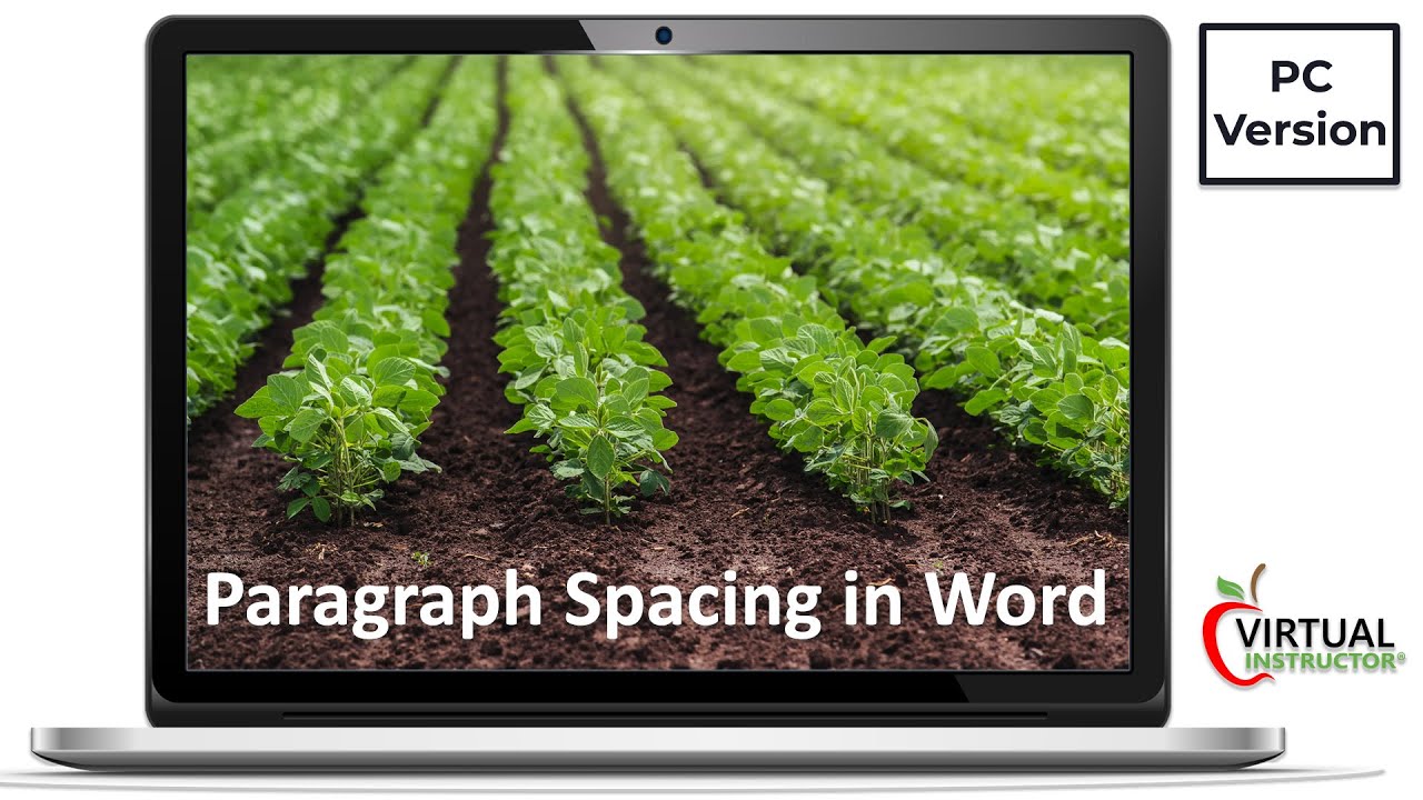 How to Adjust Paragraph Spacing in Word   PC Version