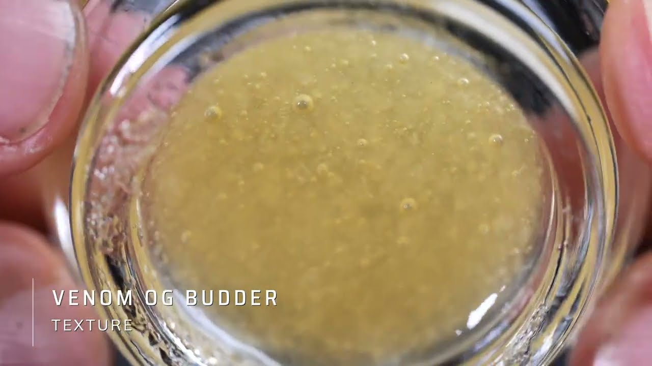 The Dopest Flavors: VENOM OG BUDDER HHC CONCENTRATES