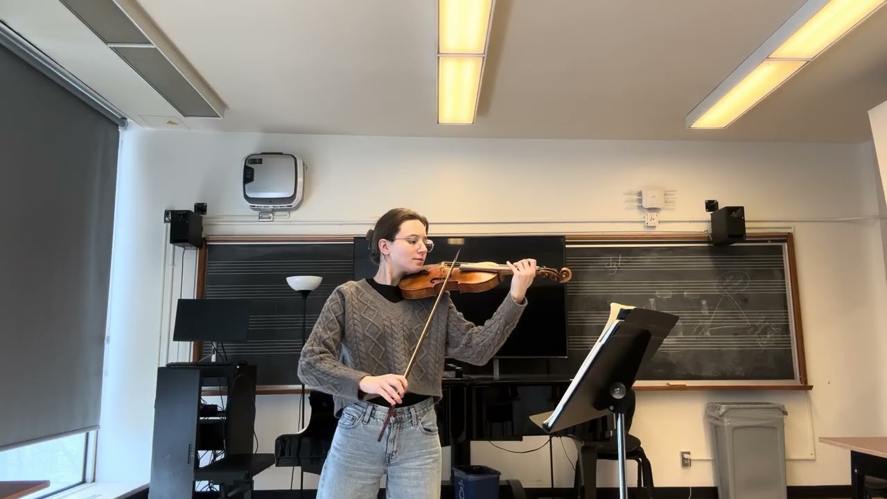 Bach Violin Partita No.2 in D minor, BWV 1004 I. Allemande