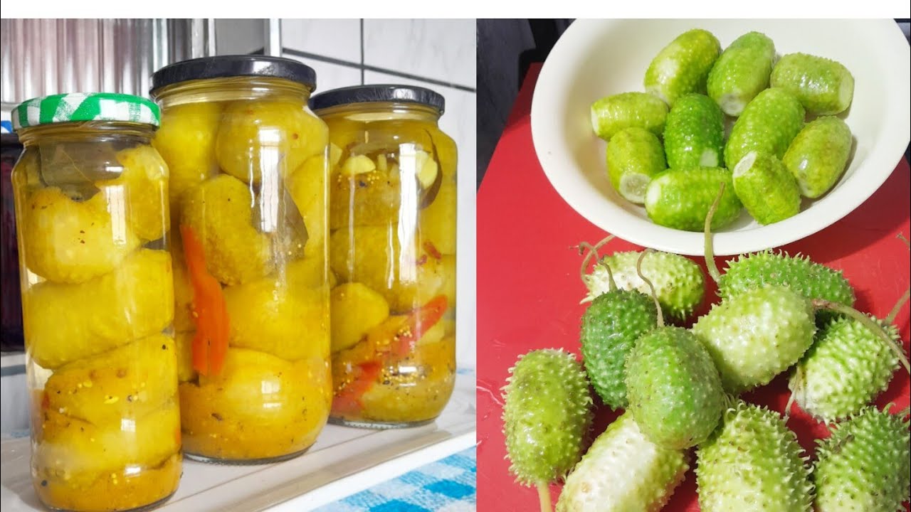 Como Fazer Conserva de MAXIXE CAIPIRA Fora da Geladeira: Receita Tradicional e Durável Low-Carb🌻@iva