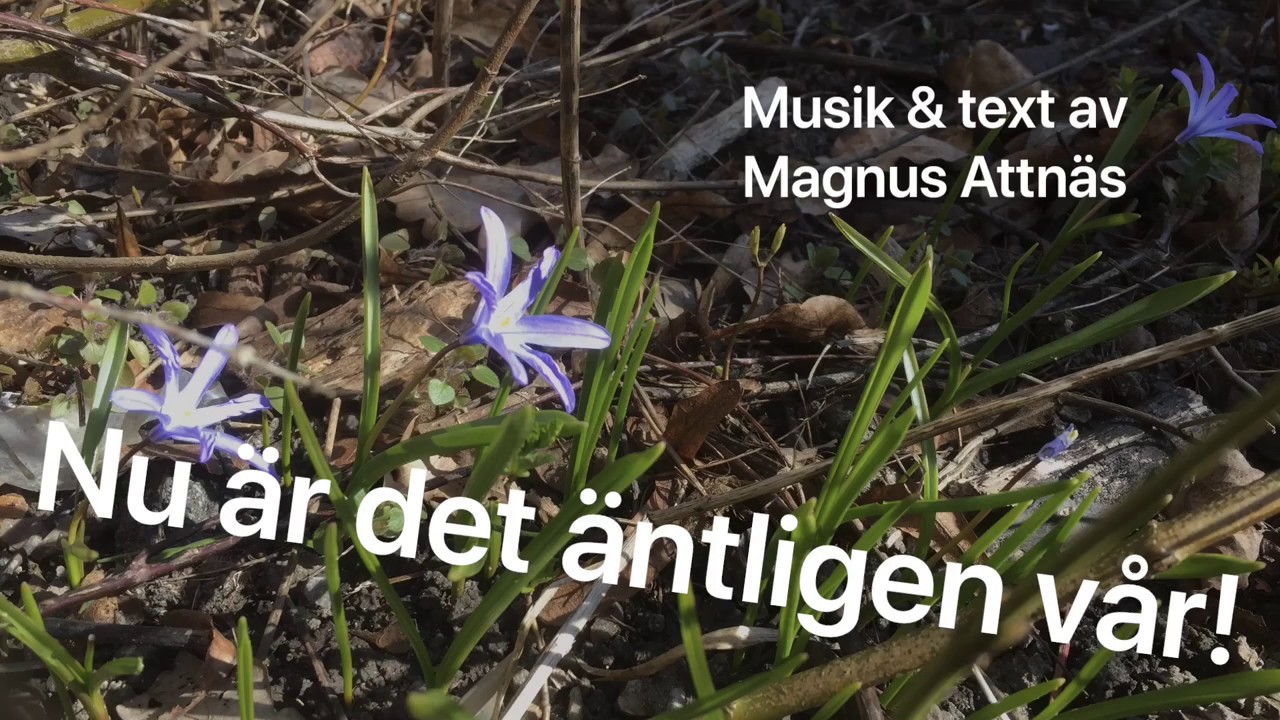 Vårsånger barn: Nu är det äntligen vår (med text!)
