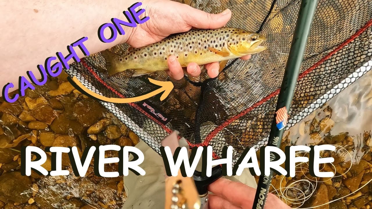 Ep 61 - Streamer Fishing River Wharfe | PART TWO of TWO