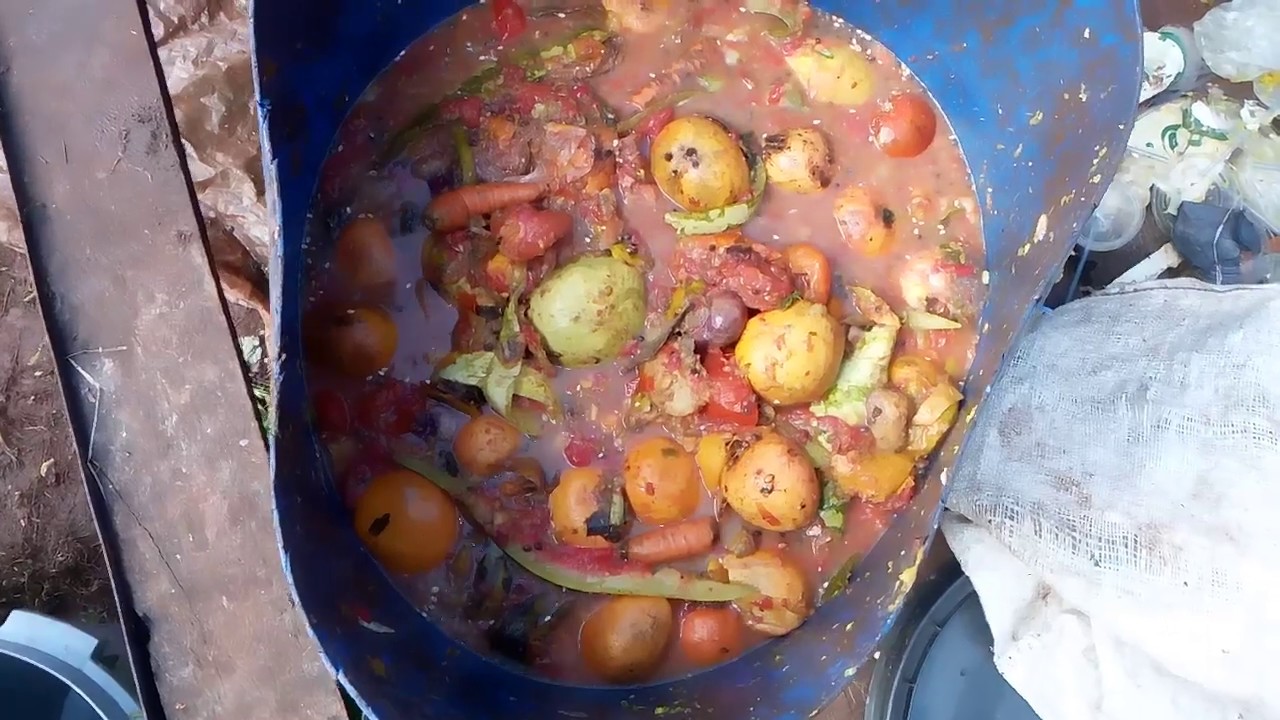 Biogas from Market Waste | Turning Vegetable Waste into Clean Energy