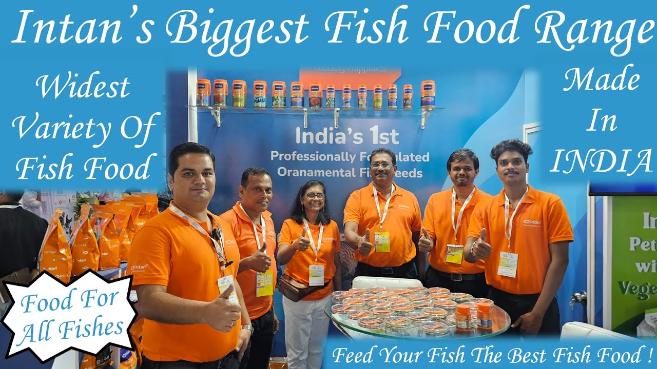 Intan Aquarium Fish Food Takes the LEAD in 2024🔥|Wide Variety Of Fish Food By Intan|Best Fish Food😍