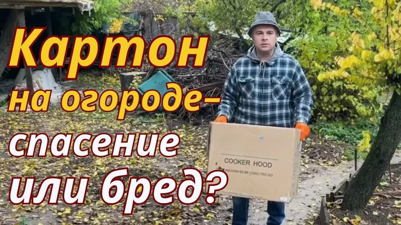 Не выбрасывайте картон! Вот что он делает с грядками