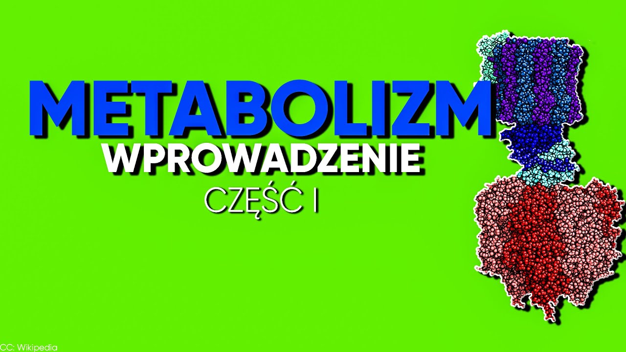 Metabolizm: podstawy, część I