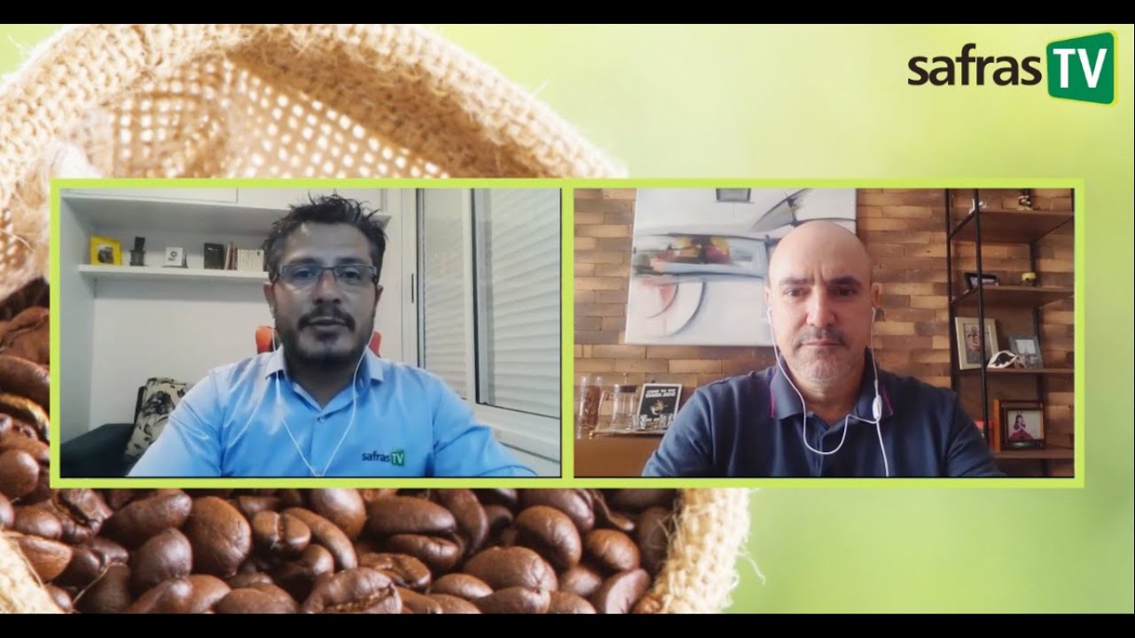 Preços do café testam máximas, e analista explica razões e tendência