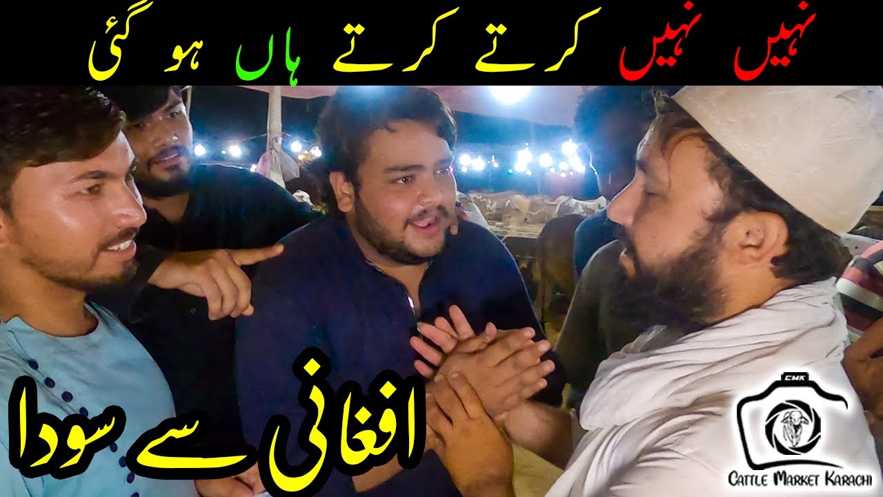 BARGAINING + SODA with AFGHANI at Sohrab Goth Cow Mandi 2021 | Bakra Eid 2021 Cattle Market Karachi