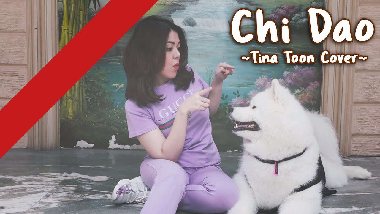 Chi Dao - 迟到 | Cover By Tina Toon