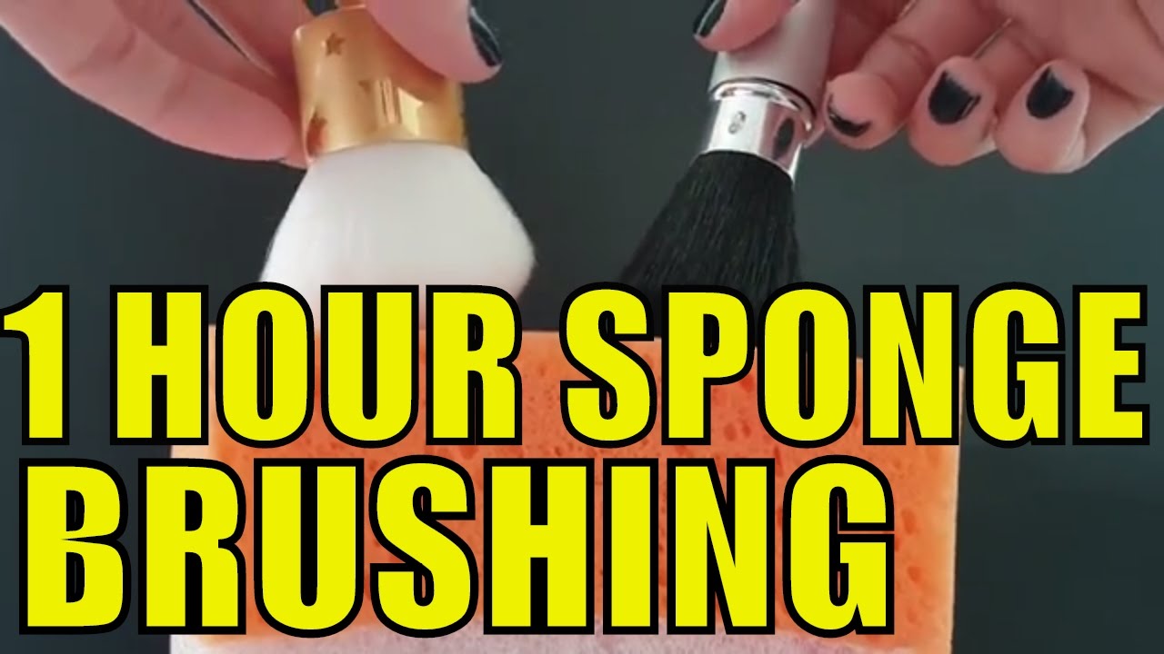ASMR 1 Hour Brushing Sponge on Mic With Different Brushes (No Talking)