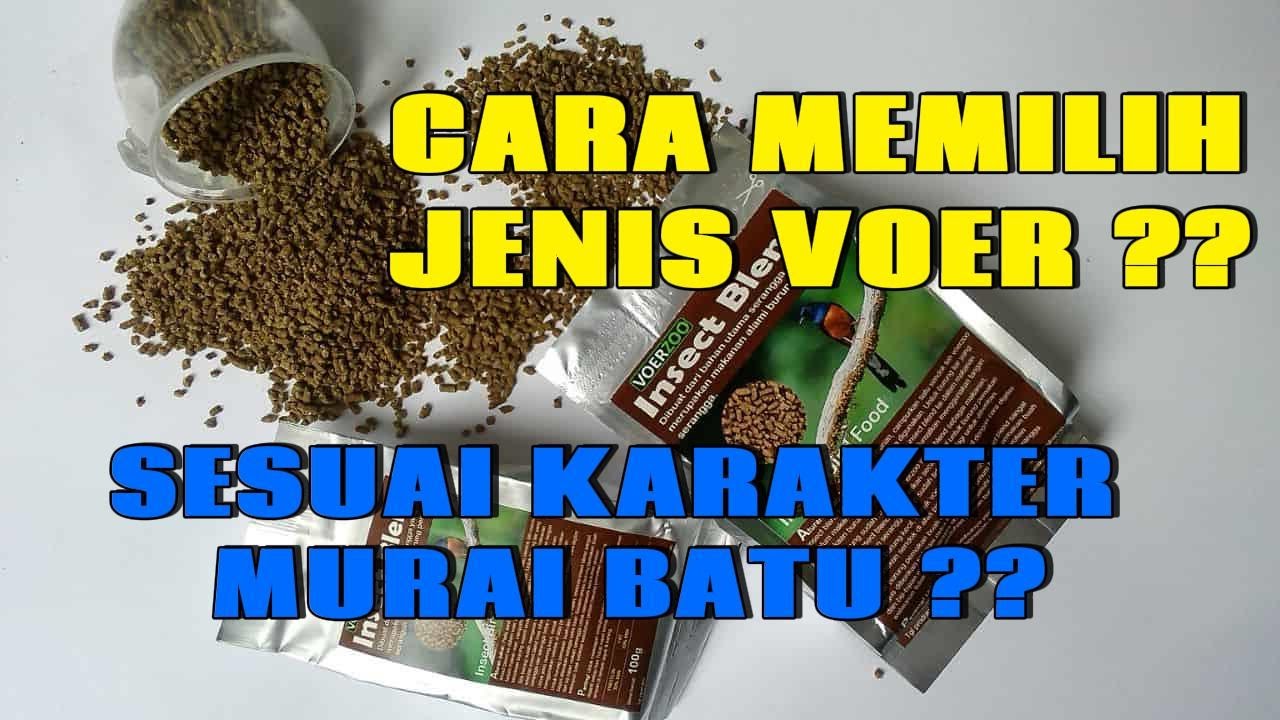 CARA MEMILIH JENIS VOER SESUAI KARAKTER MURAI BATU
