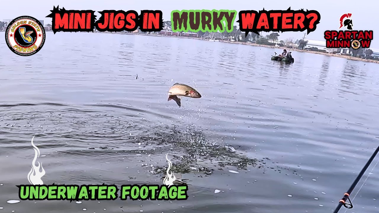 Can You Catch Trout On Mini Jigs In Murky Water? - Underwater Footage - Santa Ana River Lakes