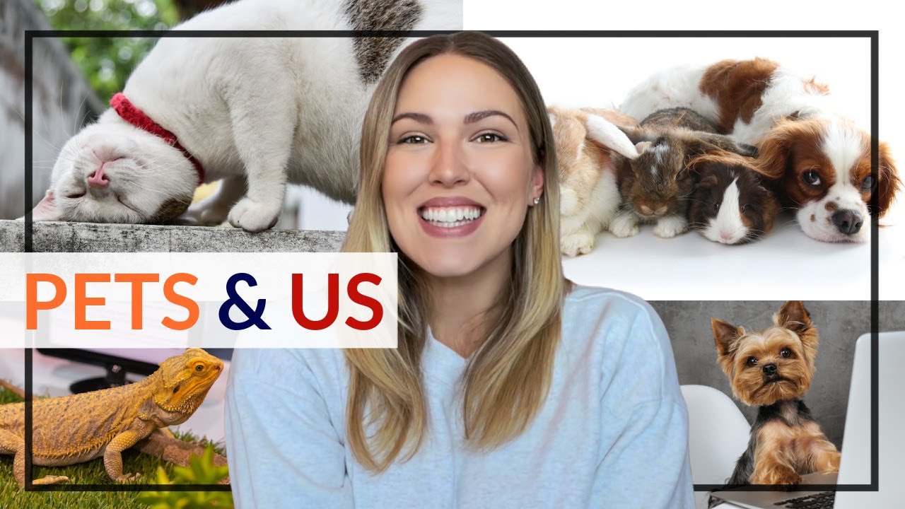 PETS AND US | H&aacute;zi&aacute;llatok &eacute;s amit vel&uuml;k csin&aacute;lunk + LET&Ouml;LTHETŐ ANYAG