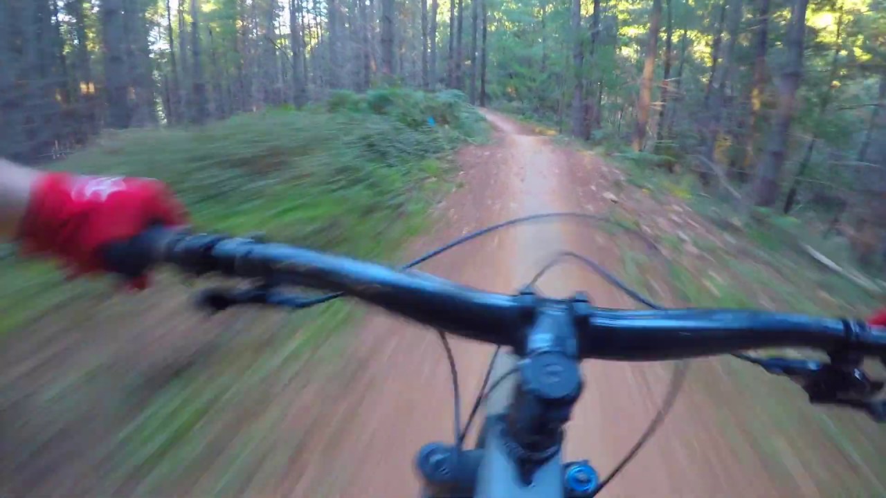 Shred Kelly's | Mystic MTB Park | Bright, Victoria