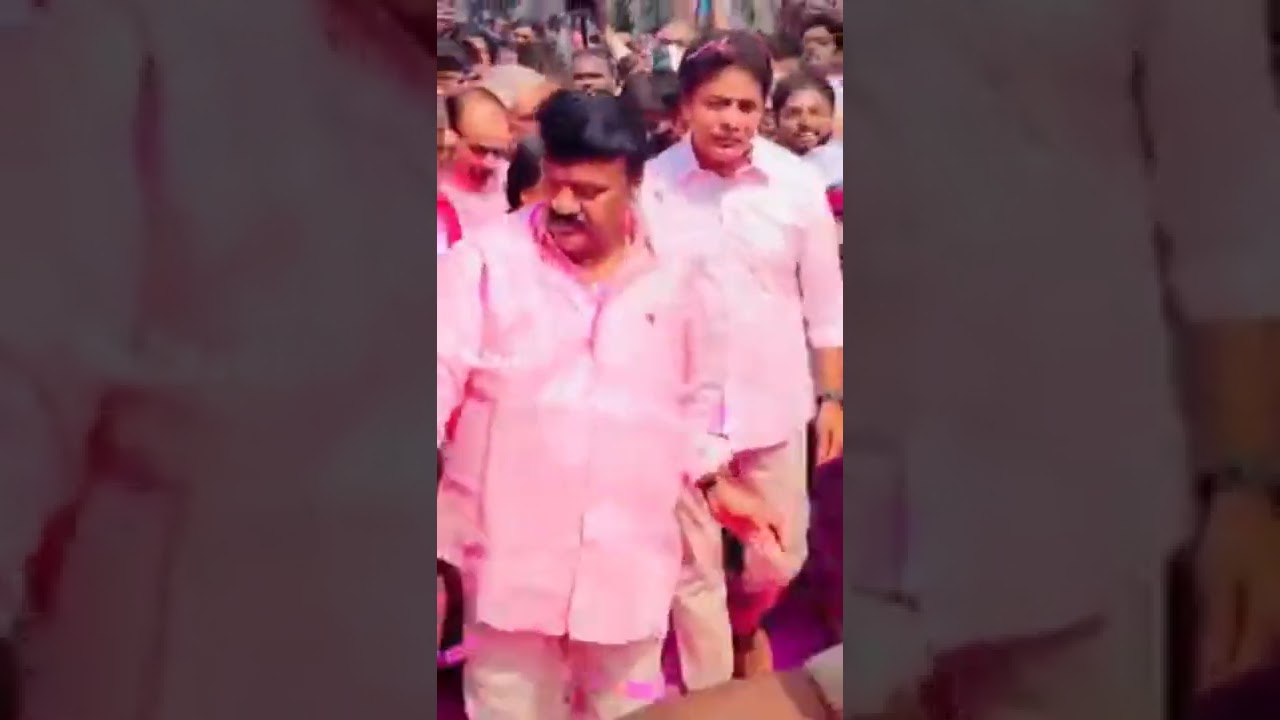 #TRS #Flag by #KTR ,#Talasani #SrinivasYadav @innerview #plenary