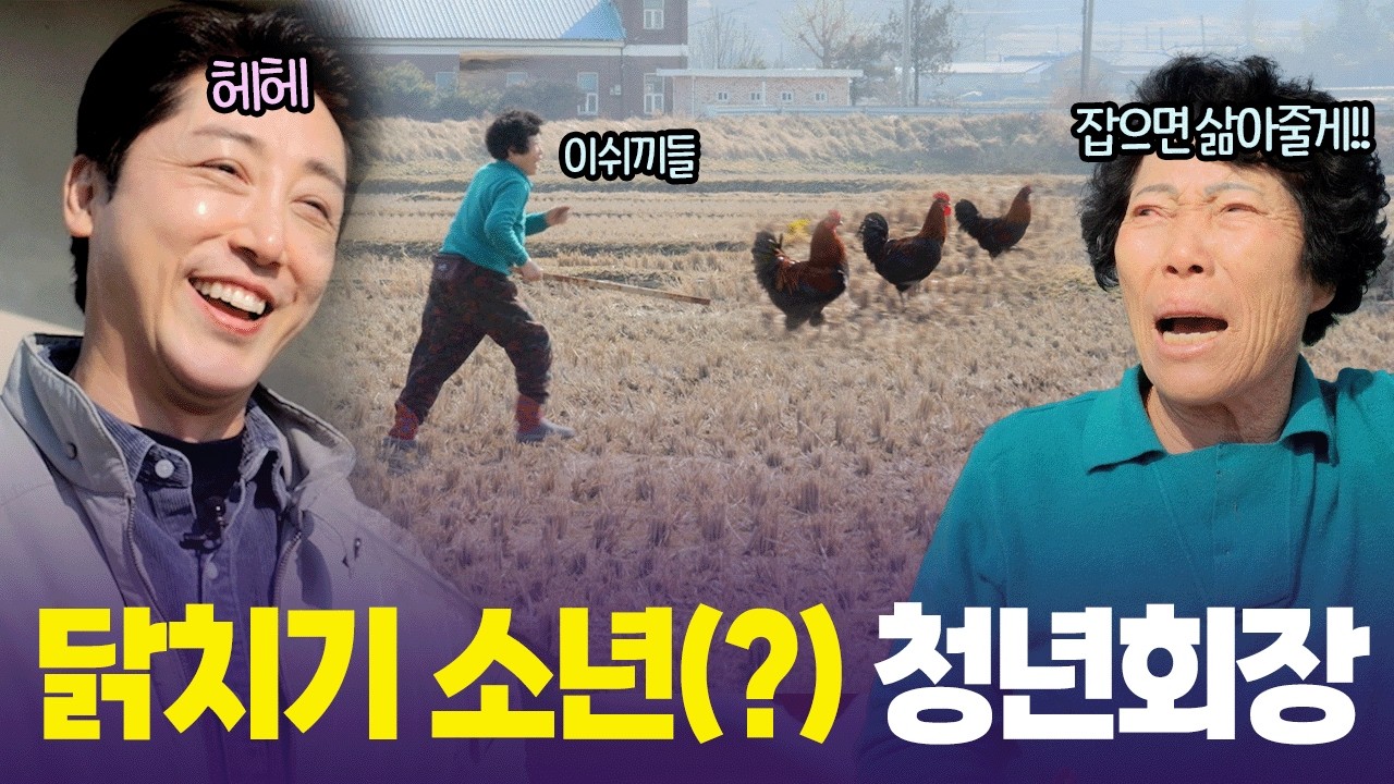 “논에 와서 쌀을 다 쪼아먹어!!” 🐓 손헌수의 닭몰이 도전 [6시 내고향] | KBS 260302 방송