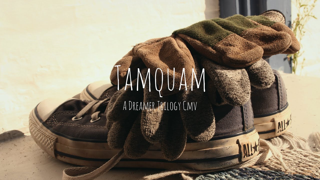 Tamquam (a Dreamer Trilogy CMV; The Raven Cycle)