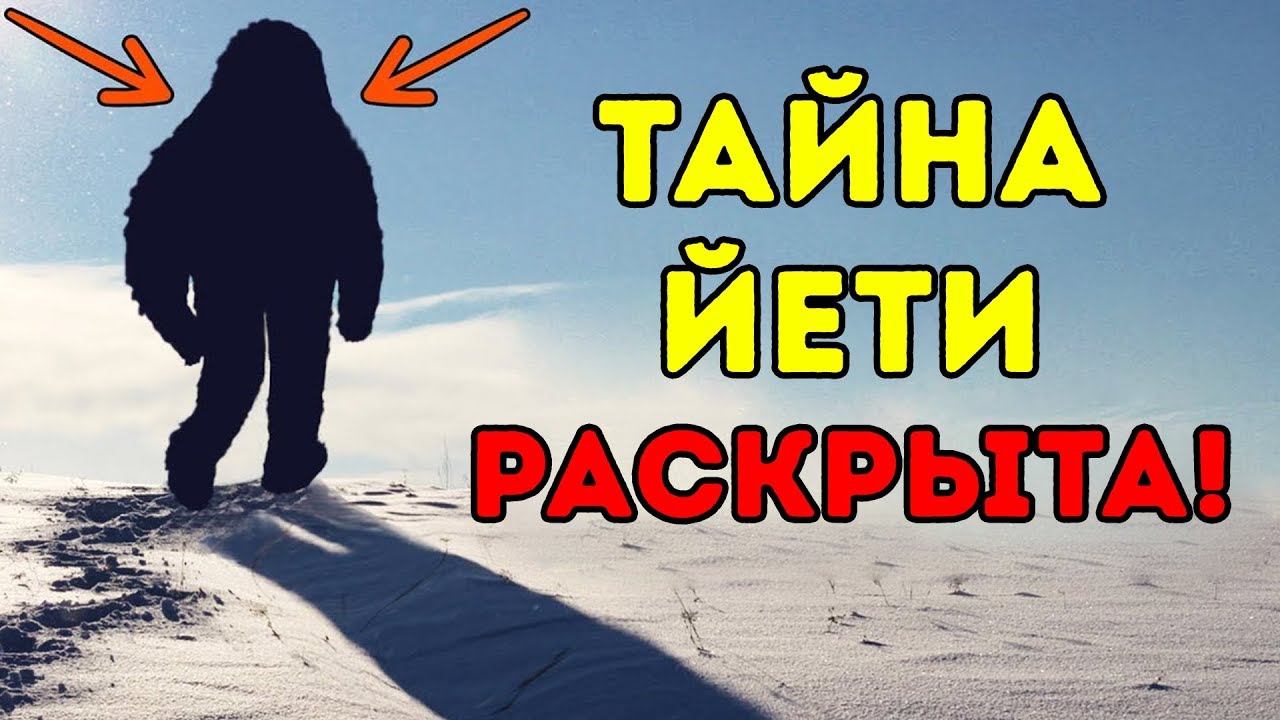 Ученые Наконец Выяснили, Кто Такой Йети