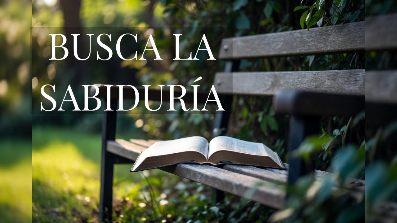Proverbios 2 | La sabiduría que protege y guía el camino del justo | Luz en la Palabra