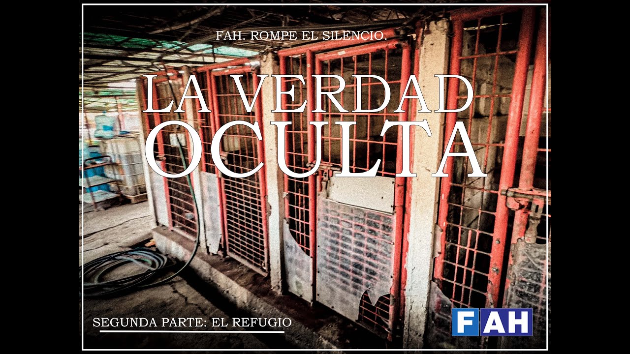 La Verdad Oculta | Capítulo 2: El Refugio — Refugio Franciscano