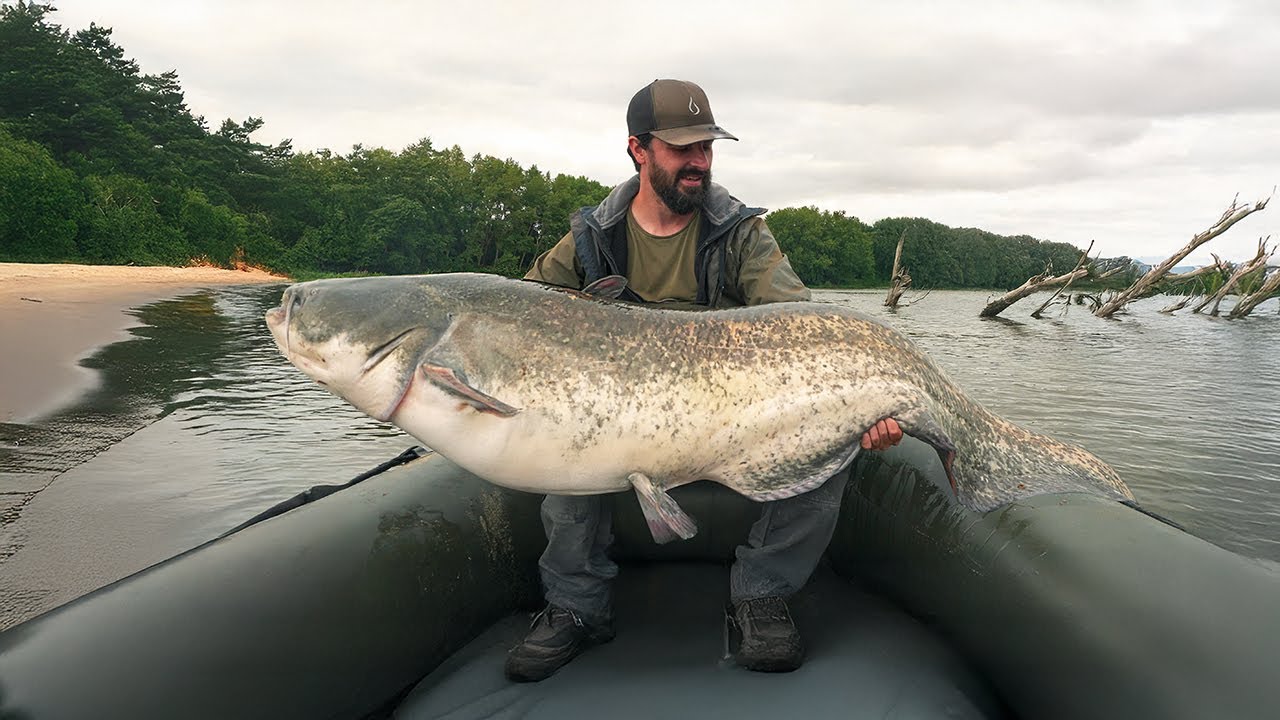 WARNING! These Waters Are INFESTED With Aggressive Catfish!