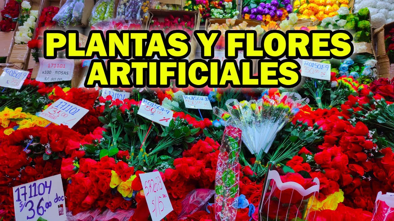 IMPORTADORA DE FLORES Y PLANTAS ARTIFIACIALES DEL CENTRO DE LIMA