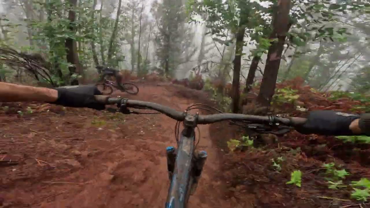 Madeira MTB - Day 5,  Insonia trail