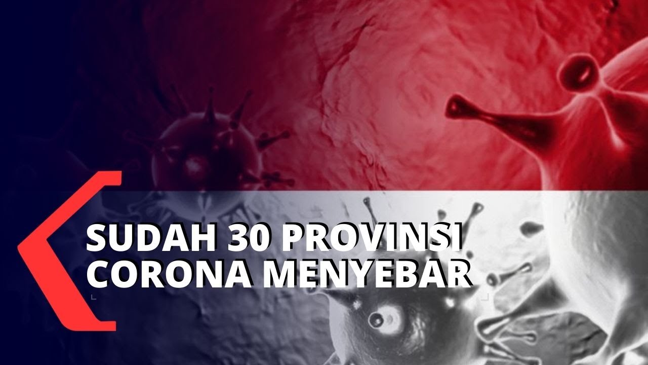 Corona Sudah Menyebar ke 30 Provinsi di Indonesia