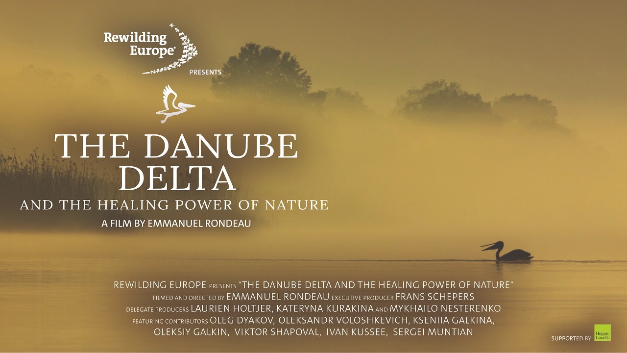 The Danube Delta and Healing Power of Nature | Documentary by Emmanuel Rondeau | Rewilding Ukraine