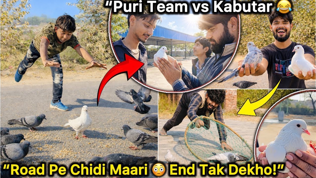 Kabutar Bhag Gaya 😭 || Itni Mehnat Ke Baad Bhi… Kabutar Udd Gaya 💔