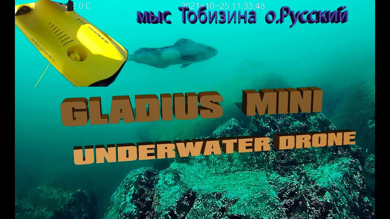 Терпуг Тобизина подводные съемки Gladius Mini uderwater drone  Tobizin Cape Vladivostok