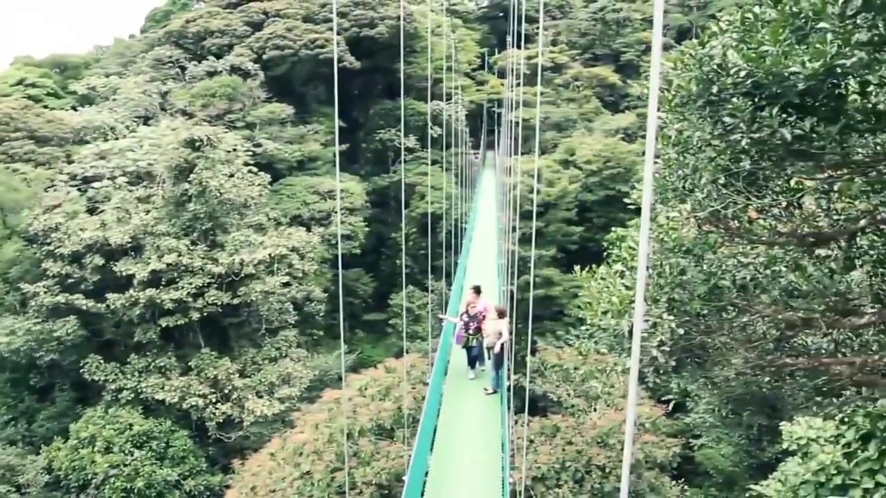 Costa Rica Sky Walk &  Sky  Tram  Monteverde