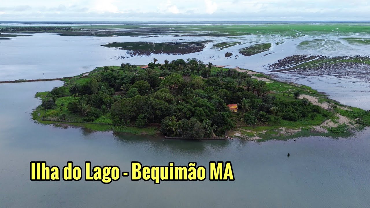 Nossos campos estão ficando lindos após o início das chuvas (ilha do lago Bequimão Maranhão)