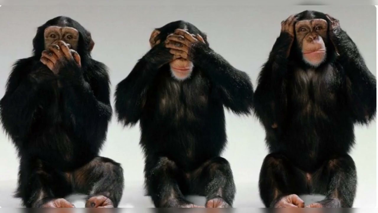The three wise monkeys.
