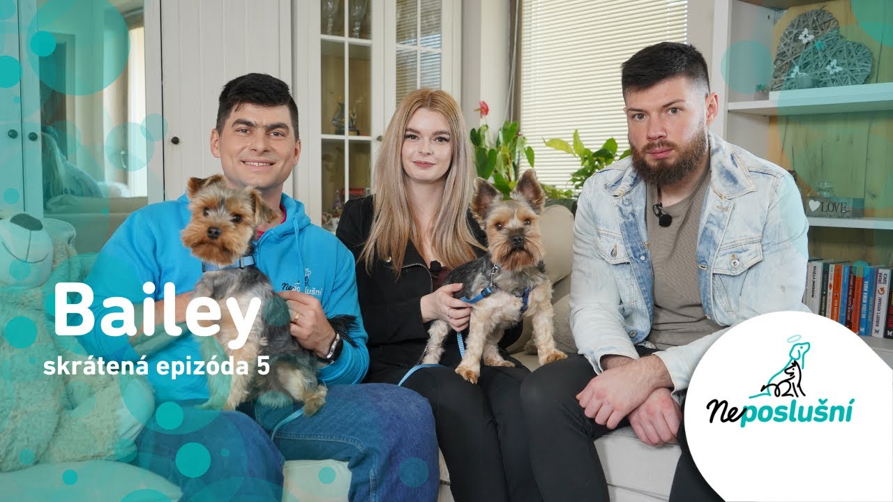 NEPOSLUŠNÍ (SKRÁTENÉ ČASTI):  Yorkshíri Bailey a Sunny, ktorí našli disciplínu