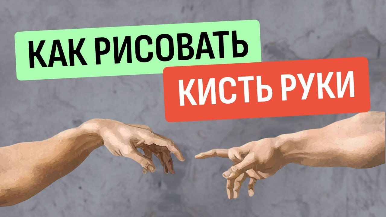 Как правильно рисовать кисть руки?