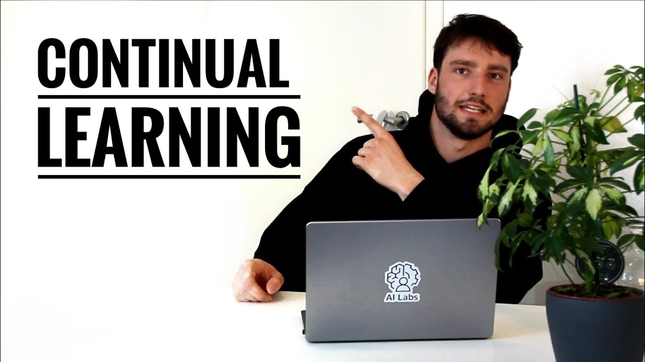 What is Continual Learning - Introduction in the Context of Reinforcement Learning