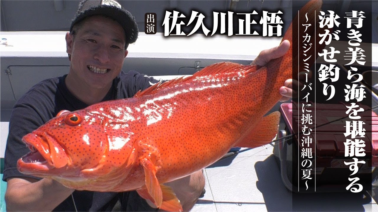 #429 青き美ら海を堪能する泳がせ釣り～アカジンミーバイに挑む沖縄の夏～