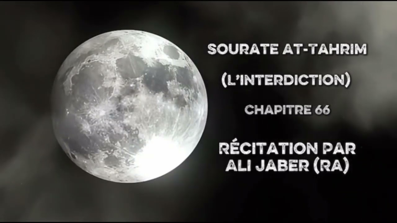 Ali Jaber | Sourate 66 At-Tahrim (L'Interdiction) - Noble Coran