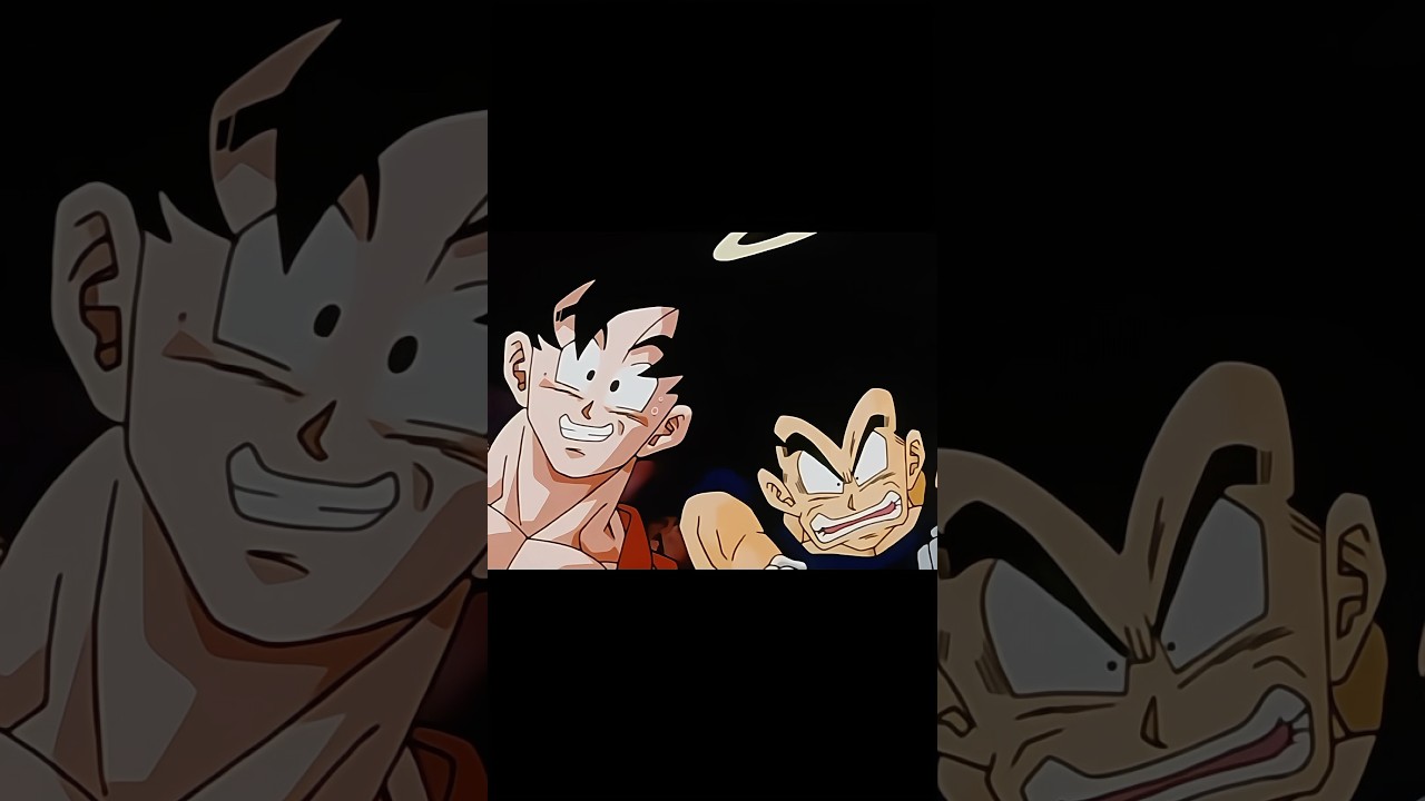 悟空＆ベジータ仲良し集「Part1」#ドラゴンボール #ドラゴンボールz #dragonball #dragonballz #孫悟空 #悟空 #ベジータ #goku #vegeta #鳥山明