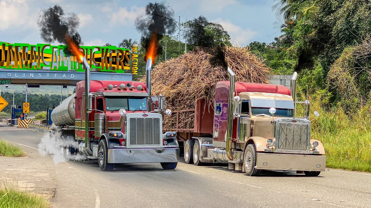 Jamaican Truckers | In Action | S01E14 | Hometown | Str88 Outta Linstead | Cane Crop 2024 | Official