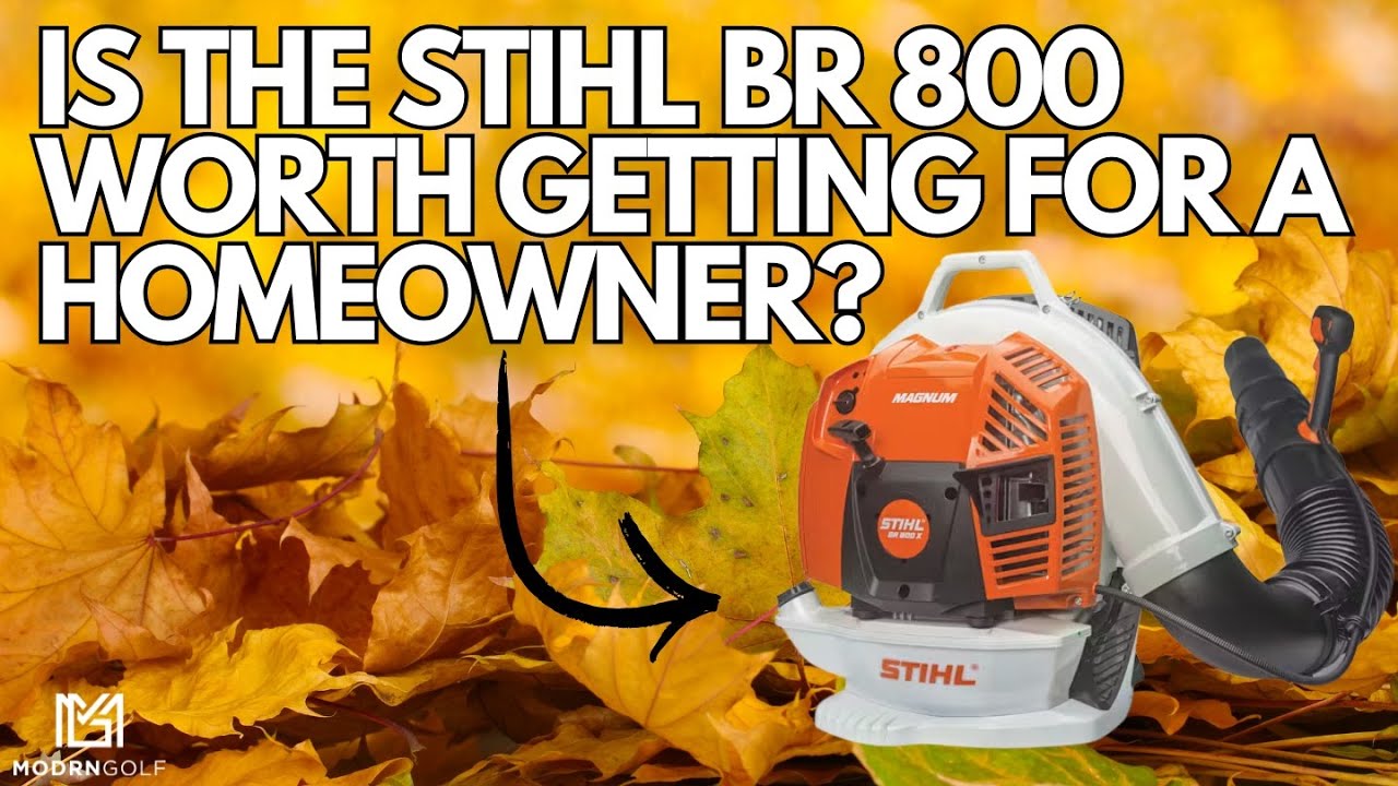 Стоит ли приобретать STIHL BR 800 для дома? Воздуходувки STIHL 2025