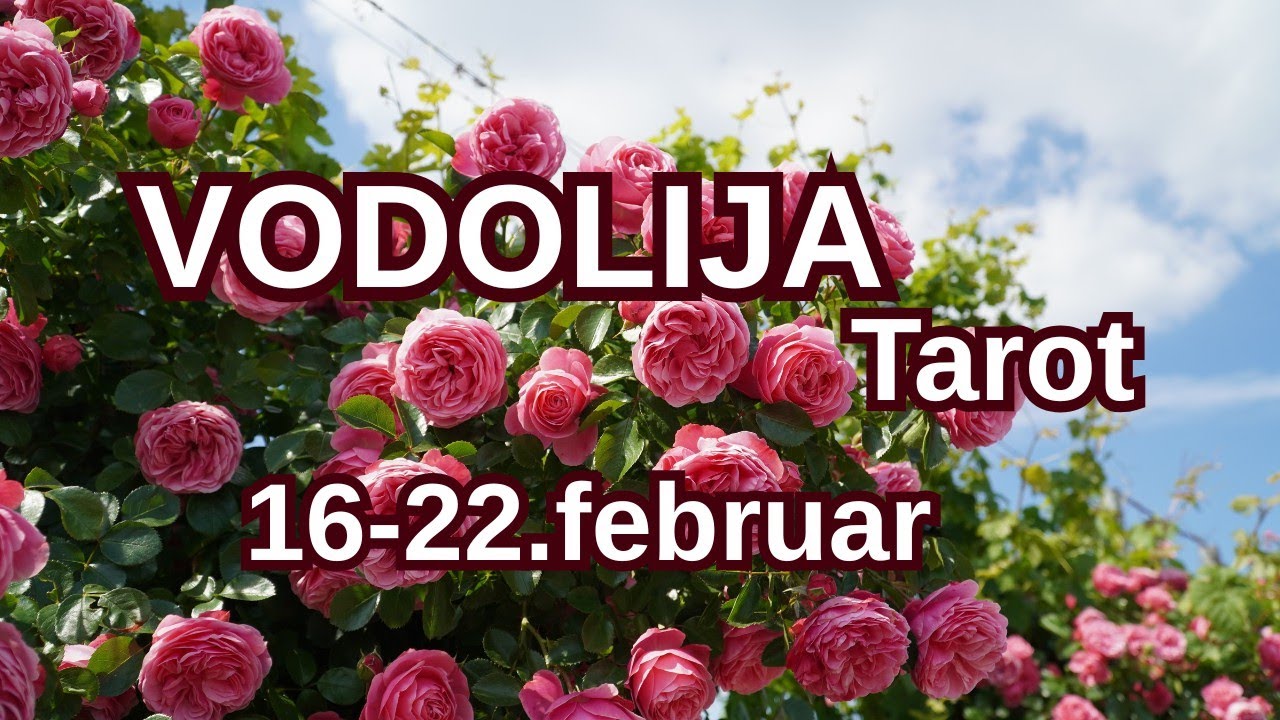VODOLIJA ♒ Srećan Novi Početak ❤️ 16-22.FEBRUAR TAROT 
