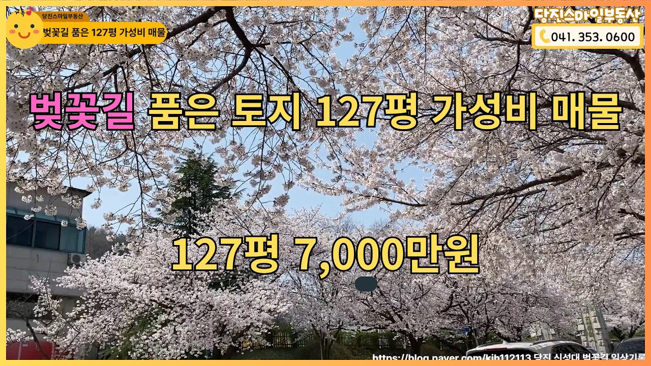 벚꽃길 품은 토지, 127평 가성비 매물 [매물번호2007] #당진부동산 #당진토지 #계획관리지역 #당진스마일부동산 #토지 #토지매매 #덕마리 #벚꽃 #가성비토지 #정미면토지