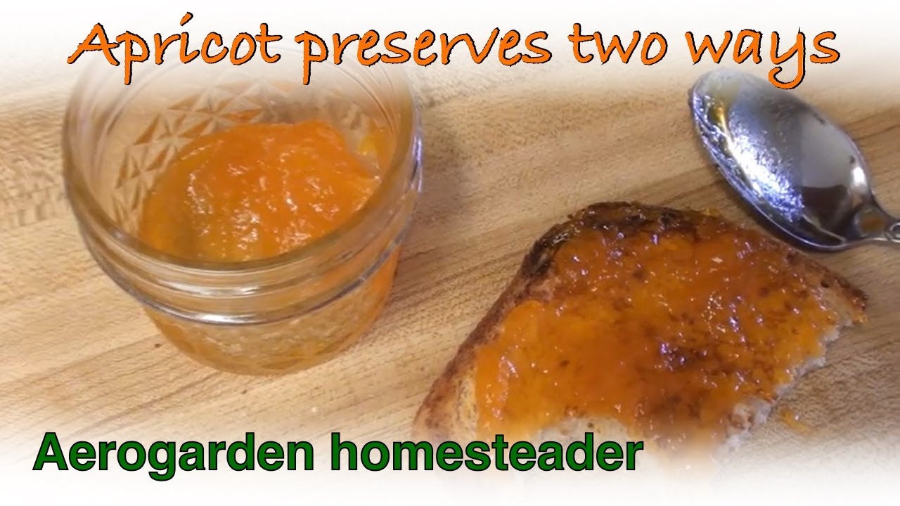 Apricot Preserves, with and without pectin - preserve with me