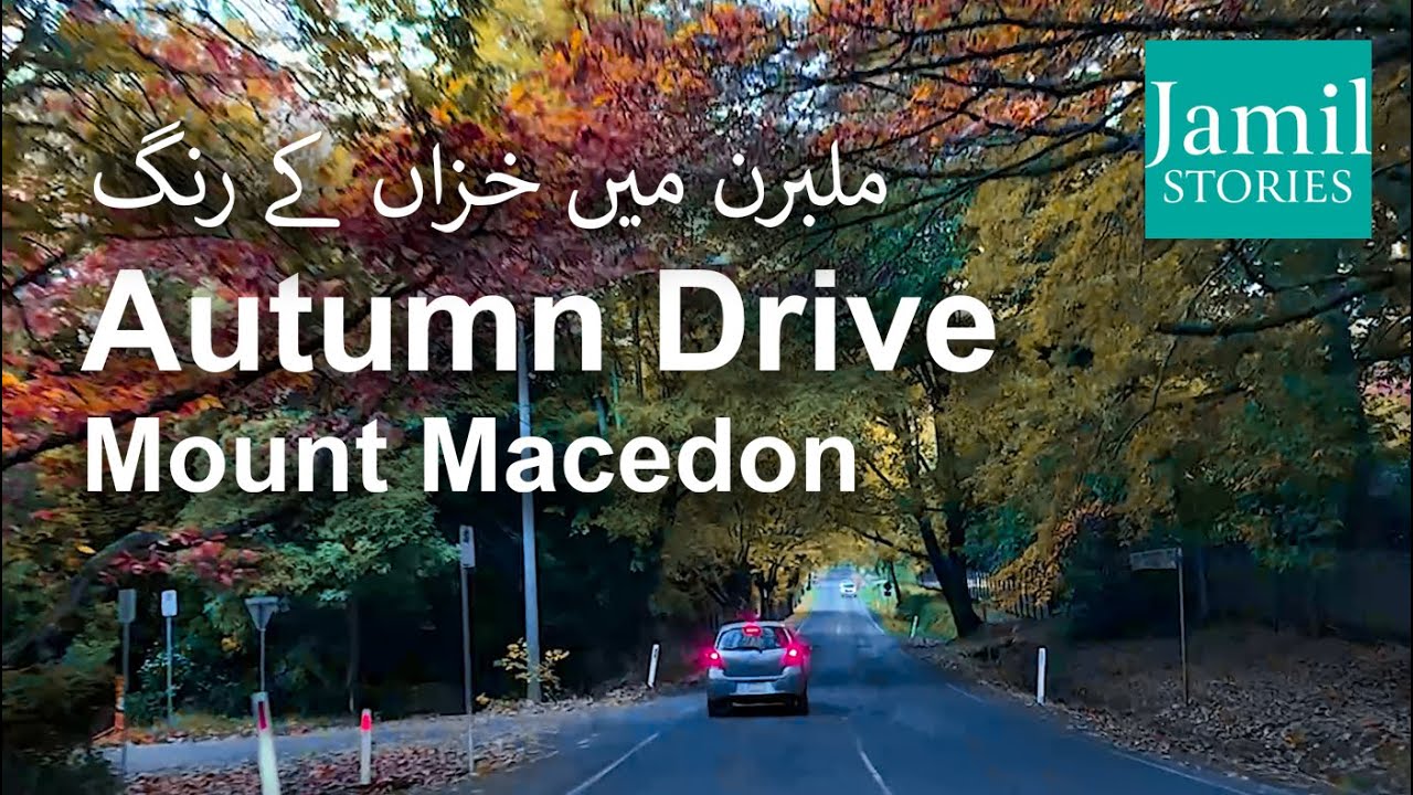 Scenic Autumn Drive | Mount Macedon | Jamil Stories | #australia #melbourne #autumn